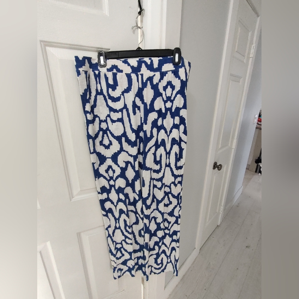 D & CO Women's Pants Blue and White (L) Like New